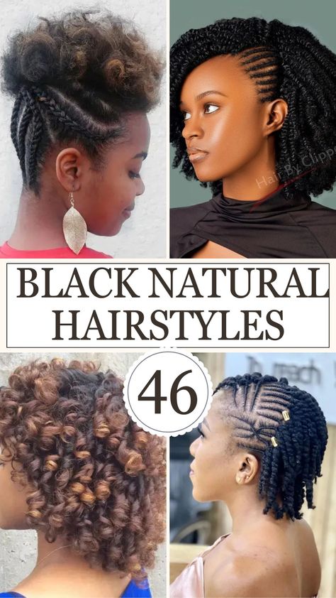 Black Natural Hairstyles Short Length Natural Hairstyles, Natural Hairstyles For Special Occasions, All Natural Hairstyles For Black Women, Fine Natural Hair Styles Black, Transitional Hairstyles, Natural Hair Updo For Black Women, Natural Styles For Black Women, Elegant Natural Hairstyles Black, Short Natural Hair Styles Easy