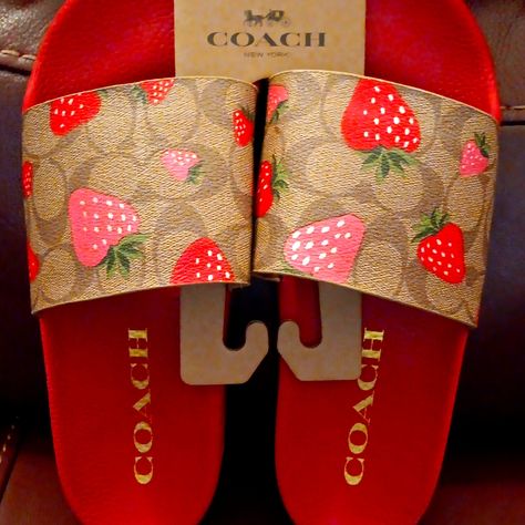 Coach Uli Sport Slides In Strawberry Print Coach Slides, Coach Shoes Women, Coach Sandals, Pretty Sneakers, Cute Slides, Designer Slides, Pretty Sandals, Trendy Shoes Sneakers, Wild Strawberry