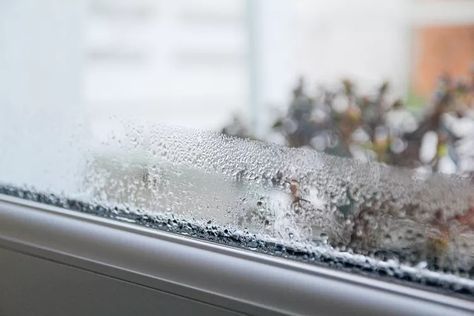 What Happens to Your Home in the Humidity? Condensation On Windows, Window Condensation, New Years Traditions, Gardening Trends, Decorating Advice, Grease Stains, Cheap Kitchen, Small Space Diy, Washing Up Liquid