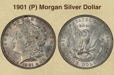 1901 (P) Morgan Silver Dollar Silver Dollar Coin Value, Dollar Coin Value, Happiness Spell, Old Silver Coins, Silver Dollar Coin, Coin Grading, Carson City, Morgan Dollars, Coin Values