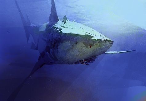 ArtStation - Shark, Sergey Kolesov Sergey Kolesov, Digital Painting Tutorials, Sea Art, Landscape Illustration, Fantasy Concept Art, 판타지 아트, Environment Concept Art, Illustration Sketches, Environmental Art