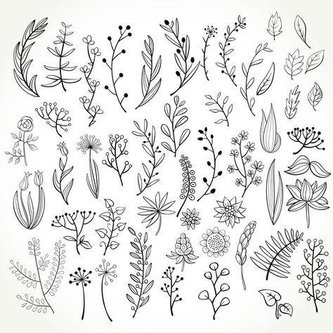 Flores Wallpaper, Doodle Floral, Botanical Line Drawing, Botanical Elements, Floral Doodle, Drawn Flowers, Floral Drawing, Pola Sulam, Floral Clipart