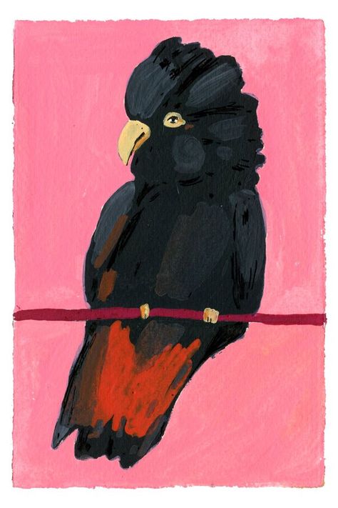 Red Tailed Black Cockatoo, Neon Goth, Gouache And Watercolor, Black Cockatoo, Artfully Walls, Modern Gallery Wall, Artist Wall, Cow Painting, Pink Bird