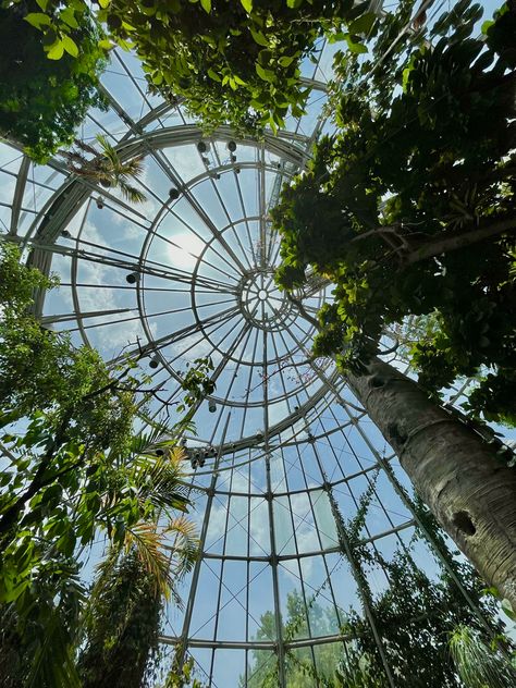 City Greenhouse, Landscape Architecture Aesthetic, Mansion Greenhouse, Ecofuturism Aesthetic, Witches Greenhouse, Greenhouse Dome, Ecobrutalism Aesthetic, Aesthetic Green House, Biophilia Aesthetic