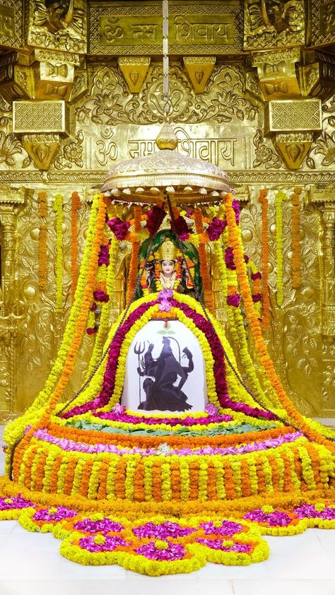 Somnath Shivling, Shiv Pics, Somnath Jyotirlinga, Ram Navami Images, Tara Maa, Hara Hara Mahadeva, Temple Decoration, Jai Guru Ji, Saree Pose