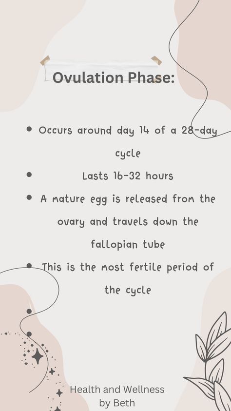 Unlock the secrets of your most fertile days! Learn about the ovulation phase, its signs and symptoms, and how to track it accurately. Essential info for anyone trying to conceive or practicing natural family planning. #OvulationPhase #FertilityAwareness #WomensHealth Fertility Window, Ovulation Phase, Fertility Trying To Conceive, Ovulation Symptoms, Fertile Period, Fertility Tracking, Ovulation Tracking, Natural Family Planning, Fertility Awareness