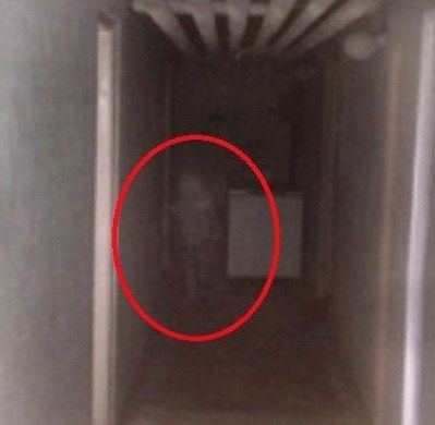 ghost picture Ghost Caught On Camera, Usa Government, Paranormal Pictures, Ghost Photo, Paranormal Photos, Ghost Sightings, Real Ghost, Spirit Ghost, Real Haunted Houses