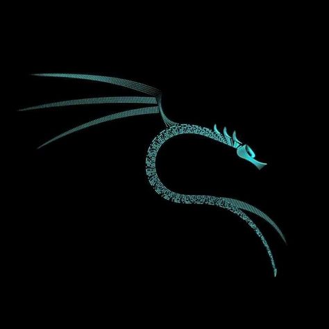 Vector logo kali linux Kali Linux Hacks, Linux Laptop, Programmer Jokes, Dragon Wallpaper Iphone, Neon Girl, Android Wallpaper Dark, Hacker Wallpaper, Computer Security, Watch Wallpaper