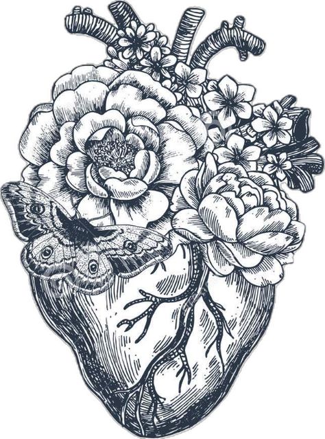 Floral Anatomical Heart, Anatomy Vintage, Heart Vector Illustration, Anatomical Heart Art, Heart Vector, Plant Crafts, Veggie Wraps, Anatomical Heart, Heart Art