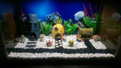 Spongebob Aquarius Spongebob Fish Tank, Fish Diseases, Cool Fish Tank Decorations, Unique Fish Tanks, 10 Gallon Fish Tank, Fish Tank Themes, Common Diseases, Fish Tank Terrarium, Cool Fish Tanks