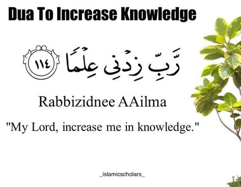 Dua to increase knowledge Dua For Height Growth, Dua For Increase In Knowledge, Dua For Increasing Knowledge, Dua For Knowledge And Wisdom, Dua For Increase In Height, Dua For Height Increase, Dua For Knowledge, Growing Older Quotes, Older Quotes