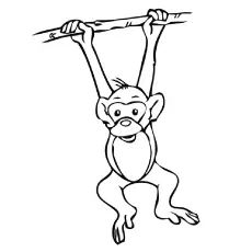 Here is the collection of 25 Monkey coloring pages for your kid! Gift them with these free printable coloring pages & have a wonderful coloring experience with them! Monkey Coloring Pages, Tattoo Coloring Book, Penguin Coloring Pages, Three Wise Monkeys, Monkey Pictures, Jungle Art, New Drawing, Pet Monkey, Cute Monkey