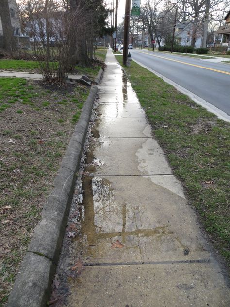 Wet Sidewalk.  Photo by Frederick Meekins Drizzle Aesthetic Rain, Sidewalk Aesthetic, Wet Sidewalk, Sidewalk Background, Wet Street Aesthetic, Fresh Rain Aesthetic, Getting Wet In Rain Aesthetic, Long Way Home, Freaks And Geeks