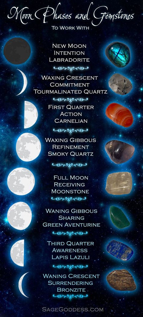 Each moon phase holds a unique meaning and guides our spiritual work in different ways. These 8 gemstones correspond with the 8 lunar phases and will support you during each transition. Moon Cycles, Crystal Therapy, Crystal Healing Stones, Crystal Magic, Moon Magic, New Moon, Crystal Gems, Didi, Book Of Shadows