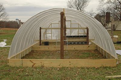 Green Legacy Farm: Hoop House II! Hoop House Chickens, Diy Tunnel, Hoop Coop, Tunnel House, Hoop House, Greenhouse Supplies, Build A Greenhouse, Coop Design, Pvc Projects