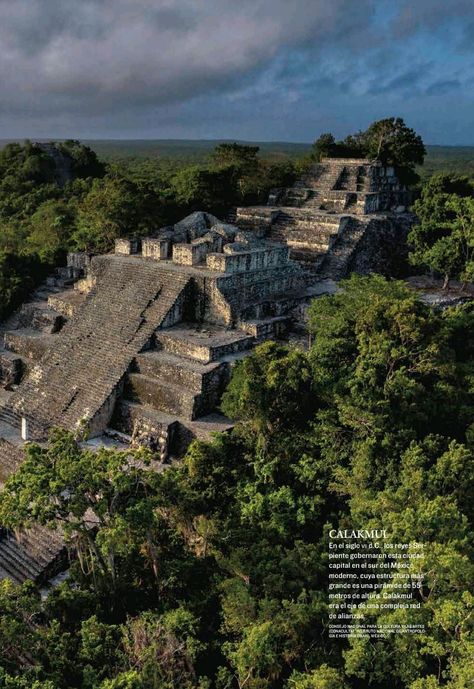 Kalakmul Maya Design, Maya Ruins, Maya Civilization, Grey Alien, Tikal, Travel Brochure, Archaeological Site, Bora Bora, Ancient Civilizations