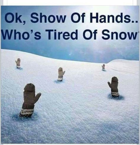 Ok, show of hands...Who's tired of snow? Cold Outside Humor, Snow Meme, Cold Weather Memes, Cold Weather Funny, Cold Weather Quotes, Winter Jokes, Snow Quotes, Winter Humor, Snow Humor