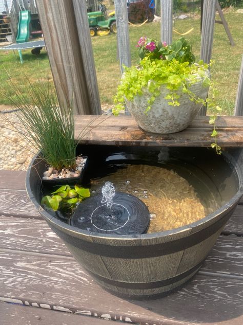 Easy Garden Fountain, Pond Planter Ideas, Bucket Pond Ideas, Half Barrel Pond, Diy Pot Pond, Pot Ponds Ideas, Small Water Fountains Outdoor Diy, Flower Pot Pond, Small Outdoor Fish Pond Ideas