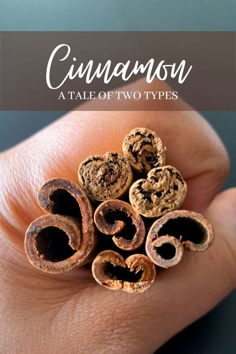 A fist holding ceylon and cassia cinnamon Types Of Cinnamon, Cassia Cinnamon, Seasoning And Spice, Spice Recipes, Cinnamon Sticks, This World, Different Types, Food To Make, Did You Know