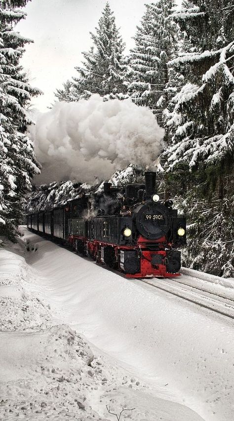 A Snowy Day, Winter Szenen, Old Trains, Arctic Circle, Winter Scenery, Snowy Day, Winter Pictures, Winter Wonder, Steam Locomotive