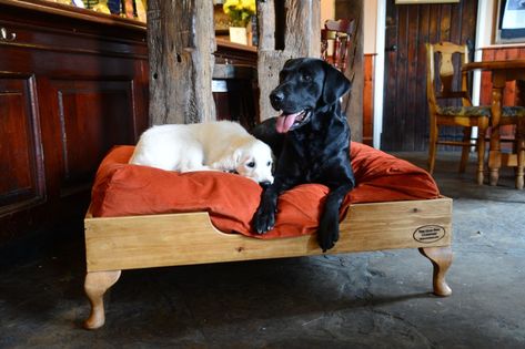 Wooden Dog Beds, Raised Wooden Dog Bed, Unique Dog Beds, Handmade Dog Beds, Wood Dog Bed, Wooden Dog Bed, Dog Bedroom, Cat Area, Affordable Bedding Sets