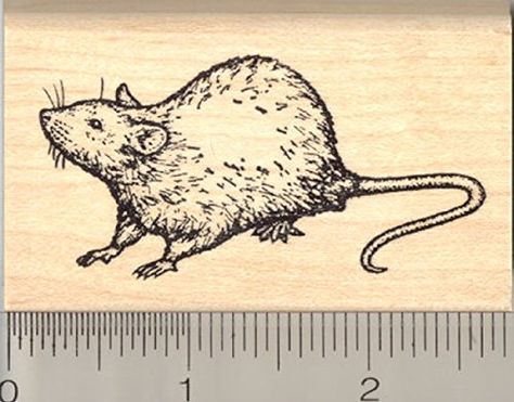 Definition Of Cute, Rat Tattoo, 동화 삽화, Pet Art, Mythological Creatures, Exotic Pets, Rubber Stamp, Rubber Stamps, Mice