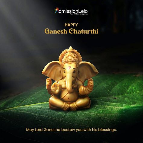 Ganesh Chaturthi Wishes, Happy Ganesh Chaturthi Wishes, Oak Plywood, Happy Ganesh, Happy Ganesh Chaturthi, Ganesh Chaturthi, Cute Patterns Wallpaper, Lord Ganesha, Baby Photoshoot