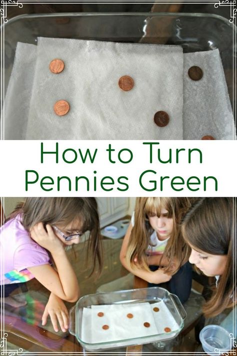 Children will enjoy learning about How to Turn Pennies Green. They will then learn reasons it happens through this simple experiment. A fun science activity for youngsters! Kids Science Experiment, Science Experiments Kids Easy, Science Inquiry, Water Experiments, Science Activity, Kids Science, Science Fair Projects, Science Experiment, Kids Learning Activities