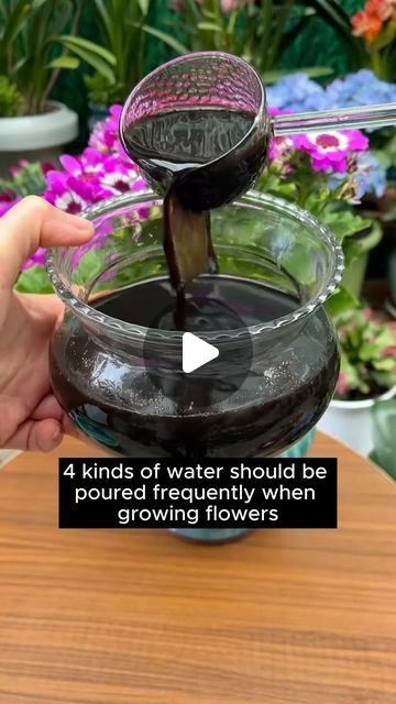 Garden Hacks on Instagram: "4 types of water need to be watered regularly #backyardgardening #gardeninglife #vegetablegardening #vegetablegarden #gardeningtips #gardeninglove #organicgardening #gardensofinstagram #gardenideas #urbangardening #gardeningistherapy #gardeninggoals #homegardening #gardeninspiration #lovegardening #gardeningisfun #countrygarden #veggiegarden #happygardening" Plants Hacks, Homemade Plant Fertilizer, Vegetable Water, Plant Fertilizer, Container Water Gardens, Types Of Water, Watering Plants, Types Of, Plant Care Houseplant