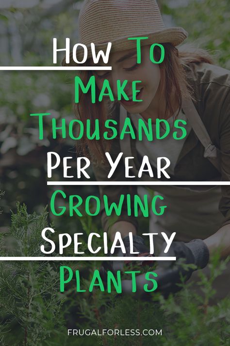 How Much Food To Grow Per Person, Jobs With Plants, Growing And Selling Plants, Make Money Selling Plants, Plant Selling Business, Profitable Farming Ideas, Most Profitable Plants To Grow, Free Plants How To Get, Selling Herbs For Profit