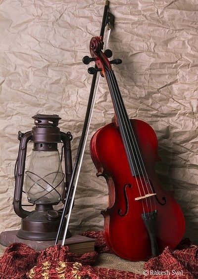 Music Silhouette, Violin Art, Still Life Pictures, Instruments Art, Easy Flower Painting, Cello Music, Wine Glass Art, Violin Music, Photography Tools