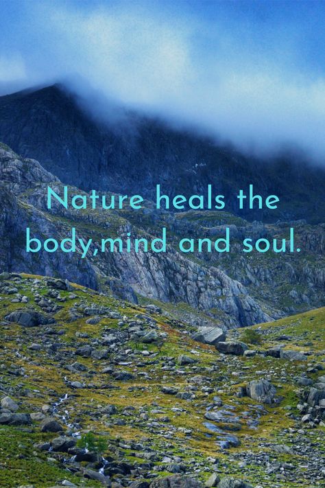 Healing Nature, Nature Healing, Pranic Healing, Healing Power, Mind Body Soul, Healing Powers, Natural Healing, Herbal Remedies, Personal Branding