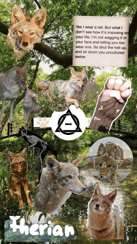 Free to use for any therians or animal lovers, etc! No need to credit ^^ Coyote Therian, Uncultured Swine, Animal Lovers, Animal Lover, Collage, Animals, Art