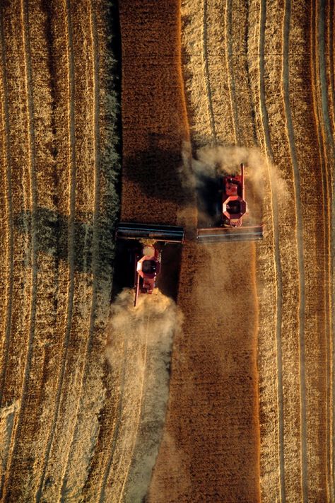 ♂ Chocolate brown "Wheat harvest, great plains" by Jim Richardson. Colors Of The World, Wheat Harvest, Great Plains, Wheat Fields, Crop Circles, Drone Photos, Aerial Photo, Birds Eye View, Drone Photography