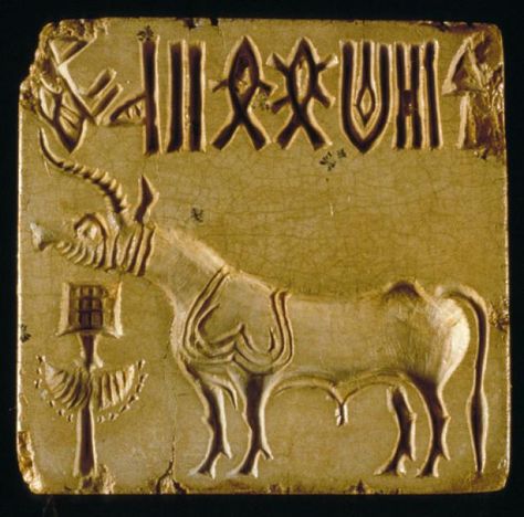 Indus Seals and the Indus Civilization Script: Comparing Indus Script to Other Ancient Languages Dravidian Languages, Bronze Age Civilization, Mohenjo Daro, Ancient World History, Indus Valley Civilization, Mythical Animal, Ancient India, Indian History, Mesopotamia