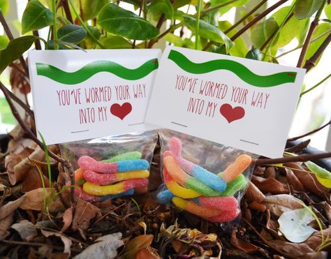 You've Wormed Your Way Into My Heart Valentine! Free Printable! Gummy Worm Valentine! Gummy Worm Gift Ideas, Diy Gummy Worms, Worm Valentine, Gummy Bear Valentines Ideas, Diy Sour Gummy Worms, Gummy Worm Valentine Free Printable, Gummy Worm Valentine, Valentines Day Bags, Heart Gift Tags