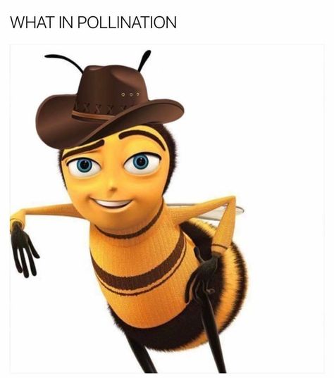 What in BEE Barry Bee Benson, Bee Meme, Bee Movie Memes, Barry B Benson, Ya Like Jazz?, Bee Movie, Movie Memes, Love Movie, A Stick