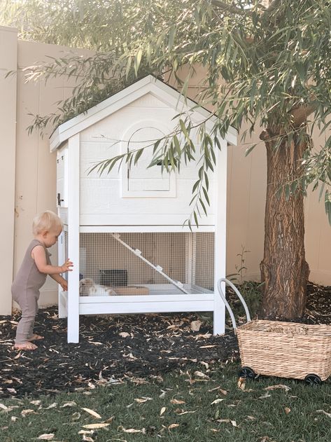 Diy Bunny Cage, Diy Rabbit Hutch, Lop Bunnies, Outdoor Rabbit Hutch, My Hospital Bag, Bunny Hutch, Large Rabbits, Mini Lop, Coop Design