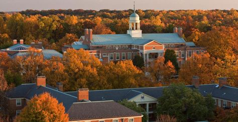 10 of the Easiest Courses at Wake Forest University - Humans of University Georgian Library, Clemson University Campus, Campus Architecture, College Counseling, University Architecture, Wake Forest University, North Carolina Homes, Home Of The Brave, Wake Forest