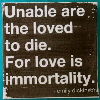 Immortal Love Aesthetic, Immortality Aesthetic, Love Aesthetic, Emily Dickinson, Ups And Downs, For Love, The Voice, Teddy Bear, Bible