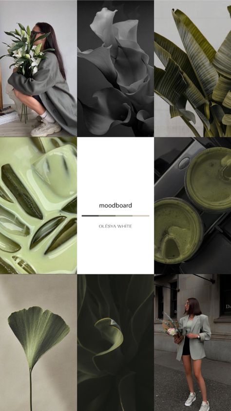 #moodboard #green #aesthetic #design #fashion #life #flowers Flower Moodboard Fashion, Sage Archetype Aesthetic Clothes, Sage Archetype Aesthetic Outfit, Green Mood Board Aesthetic, Green Aesthetic Design, The Lover Archetype Aesthetic, Sage Archetype Aesthetic, Archetype Aesthetic, Sage Archetype