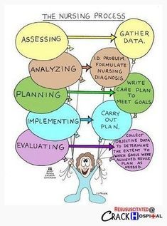 Geriatrics Nursing, Registered Nurse School, Geriatric Nursing, Nursing Fundamentals, Nursing School Scholarships, Nursing School Prerequisites, Nurse Study Notes, Nursing Process, Nursing Mnemonics