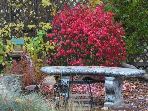 Concrete bench in garden Bench In Garden, Outdoor Bench Ideas, Concrete Bench Outdoor, Outside Bench, Bench Around Trees, Concrete Garden Bench, Cement Bench, Yard Benches, Outside Benches