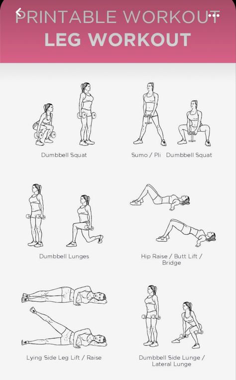 Beginner Leg Workout Gym, Gym Excersise, Leg Workout Gym, Weekly Gym Workouts, Beginners Gym Workout Plan, Dumbbell Leg Workout, Workout Sheets, Leg Workout Women, Leg Workouts Gym