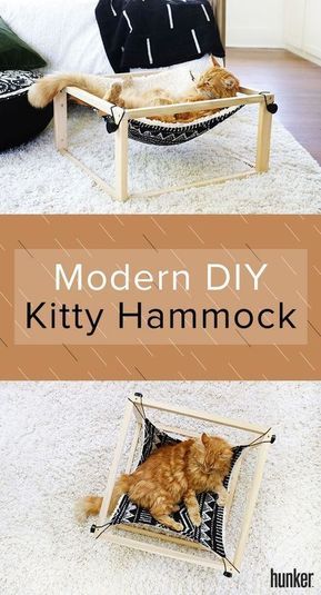 Diy Cat Hammock, Excel Tips, Diy Cleaning Hacks, Cat Hammock, Diy Cat, Sensory Bin, Home Cinema, Cozy Place, Décor Diy