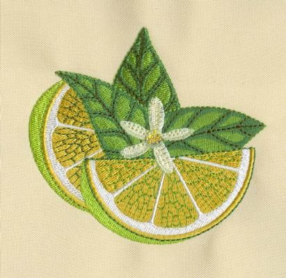 Lemon Embroidery, Craft Embroidery, Memory Crafts, Embroidery Design Sets, Machine Embroidery Designs, Embroidery Design, Machine Embroidery, Embroidery Designs, Lemon