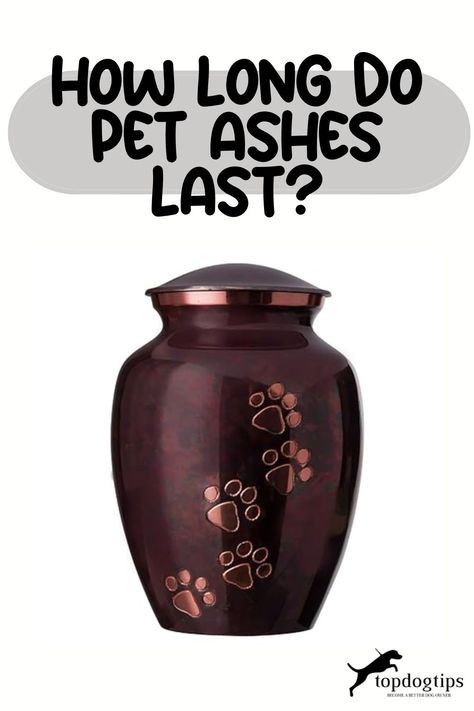 How Long Do Pet Ashes Last? Diy Dog Urns For Ashes, Memorialize Your Pet, Pets Ashes Ideas Dogs, Ideas For Pet Ashes, How To Display Pet Ashes, How To Memorialize A Pet, Dog Urn Display At Home, What To Do With Dog Ashes, Dog Memorial Ideas Ashes