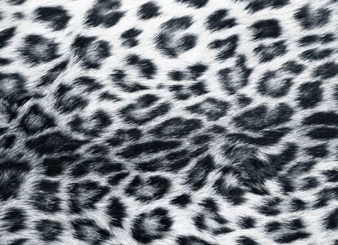 Leopard Print Background Iphone, Snow Leopard Wallpaper, Cheetah Background, Cheetah Wallpaper, Leopard Print Background, Leopard Print Wallpaper, Cheetah Print Wallpaper, Animal Print Background, Snow Animals