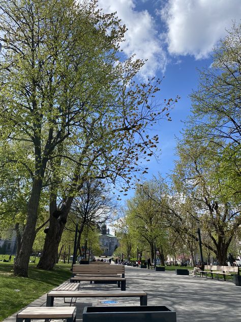 benches on a concrete path surrounded by grass and trees, illuminated by a blue sky with white clouds University Of Montreal, Mcgill University Aesthetic, Mcgill Aesthetic, University Motivation, Soft Pictures, College Vision Board, Mcgill University, Uni Life, Dream School