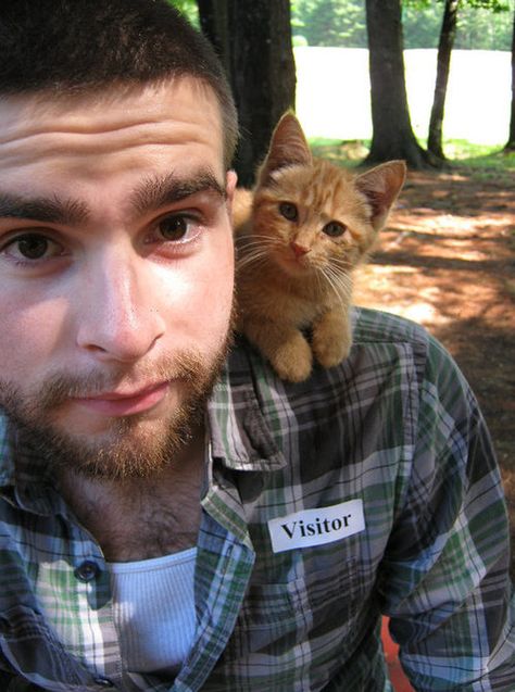 Selfie Man With Cat, Men With Cats, 4 Pm, Funny Cat Memes, Funny Cat Pictures, Lumberjack, Cute Kittens, All You Can, Crazy Cat Lady